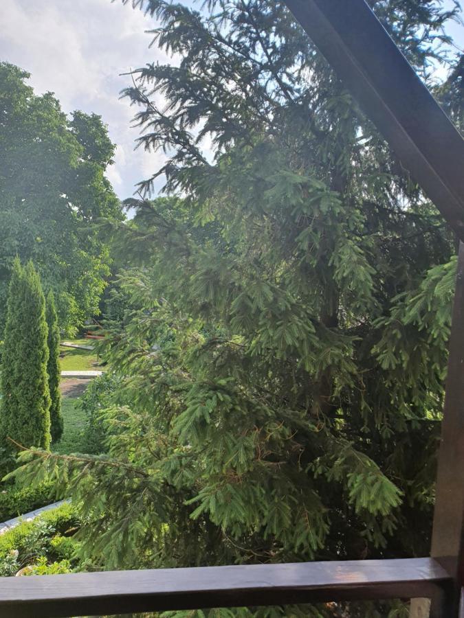 Casa Stefandra Hotel Breáza Kültér fotó