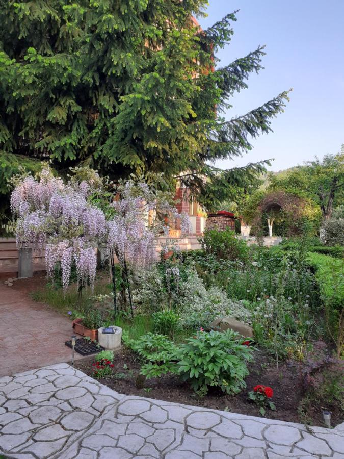 Casa Stefandra Hotel Breáza Kültér fotó