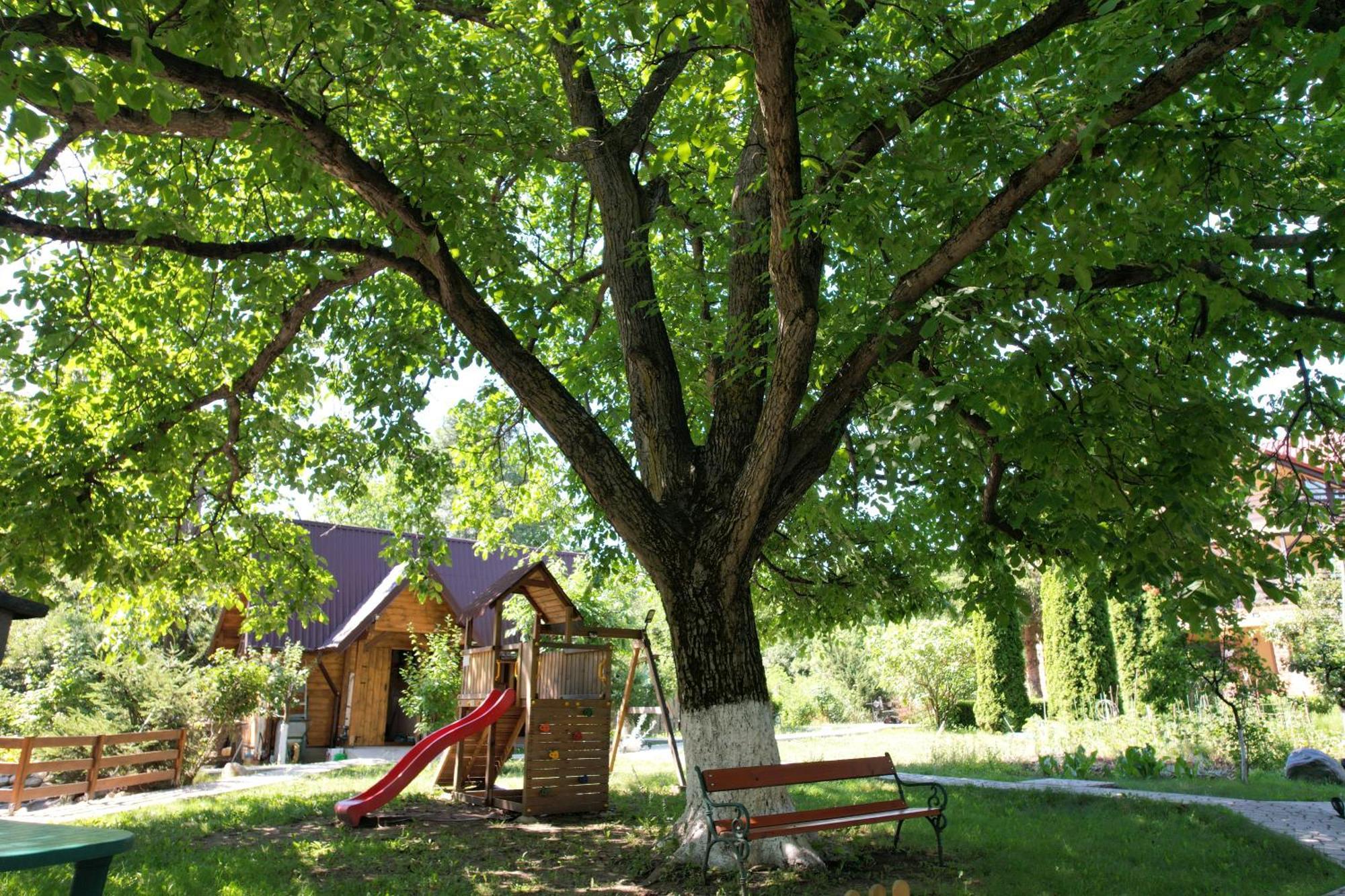 Casa Stefandra Hotel Breáza Kültér fotó